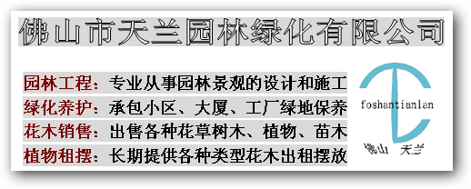 佛山天兰园林绿化 打造高品质园林绿化工程的施工实践