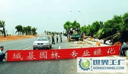 福田绿化企业 专业绿化施工与树木栽种，打造卓越景观工程