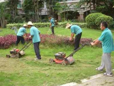 园林绿化工程施工 构筑城市生态之美