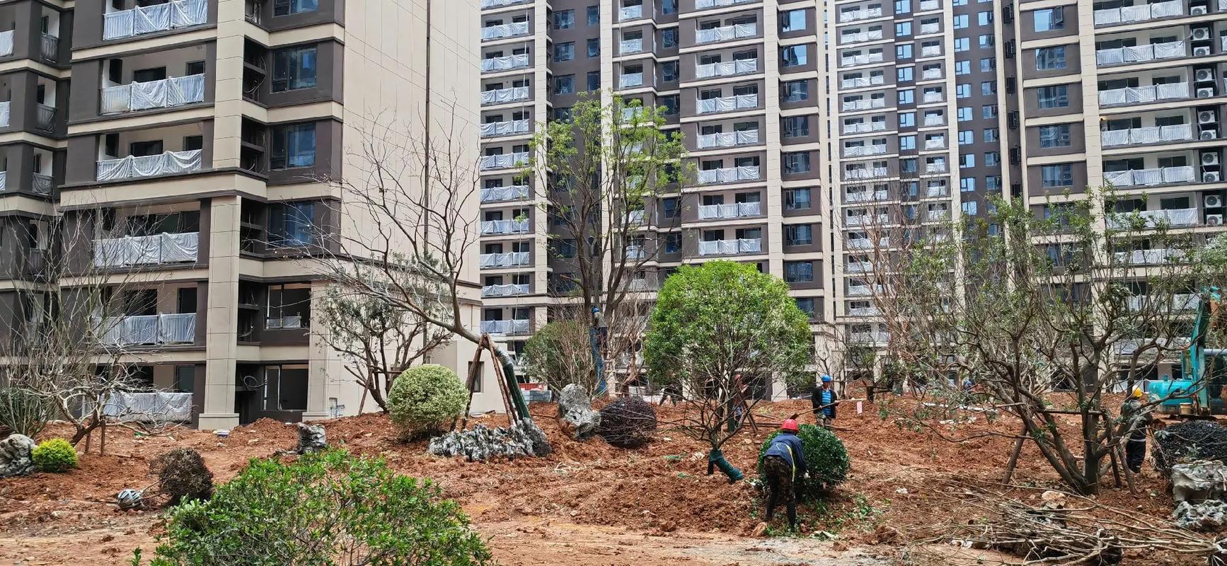 香樟一立，绿意盎然——记小区园林绿化工程施工现场