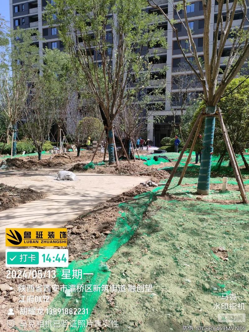 望江园林绿化工程施工现场实拍 进度与实景直击